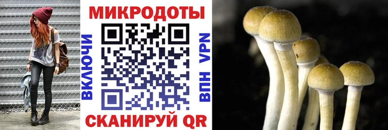 кракен рабочий сайт  где продают   Владикавказ  Галлюциногенные грибы Psilocybine cubensis 